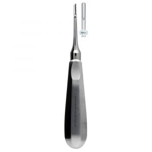 ROOT ELEVATOR BEIN STRAIGHT 4.0MM 155MM