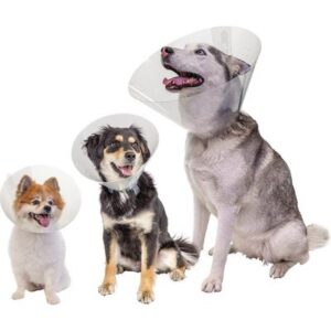 Pivetal Baxter Elizabethan Collar: 12cm, Each