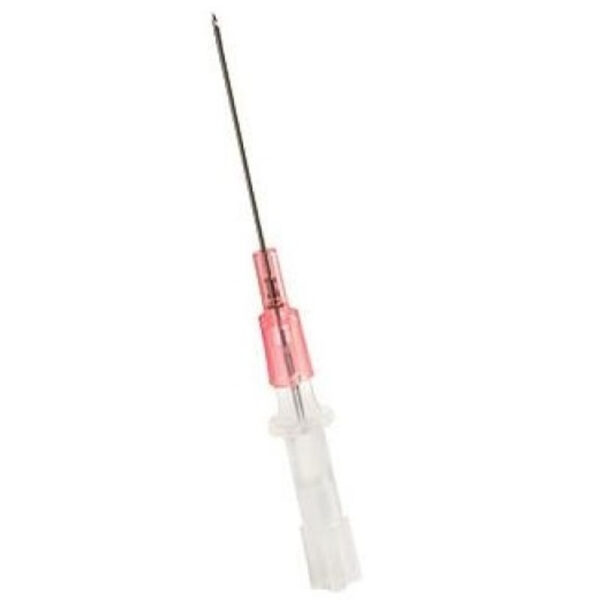 Safelet IV Catheter: 20ga x 1", 50 Count